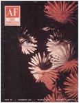 AF. ARTE FOTOGRÁFICO | 9999900145250 | Llibres de Companyia - Libros de segunda mano Barcelona