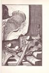 EL ATLAS ANATOMICO DE CRISOSTOMO MARTINEZ | 9999900227741 | López Piñero, José | Llibres de Companyia - Libros de segunda mano Barcelona