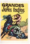 GRANDES JEFES INDIOS | 9999900039016 | Sesen, F.M | Llibres de Companyia - Libros de segunda mano Barcelona