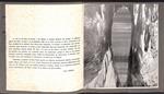 PINOJEDA. Catálogo exposición, 1965 | 9999900014464 | Libros antiguos y de segunda mano con historia
