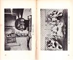 EL "POP-ART" | 9999900227994 | Masotta, Oscar | Llibres de Companyia - Libros de segunda mano Barcelona