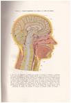 ENCICLOPEDIA DE LA SALUD | 9999900041989 | Reinhard, Félix | Llibres de Companyia - Libros de segunda mano Barcelona