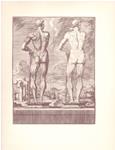 EL ATLAS ANATOMICO DE CRISOSTOMO MARTINEZ | 9999900227741 | López Piñero, José | Llibres de Companyia - Libros de segunda mano Barcelona