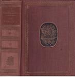 LOS PRIMITIVOS LA POESIA CASTELLANA | 9999900178340 | SELECCION Y PROLOGO FERNANDO GUTIERREZ | Llibres de Companyia - Libros de segunda mano Barcelona