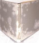 HISTORIA DE MANON LESCAUT Y DEL CABALLERO DES GRIEUX | 9999900236033 | Prevost, Abate | Llibres de Companyia - Libros de segunda mano Barcelona