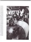 LOS OLVIDADOS | 9999900190557 | Manresa, Kim; Juan Gonzalo Betancur | Llibres de Companyia - Libros de segunda mano Barcelona