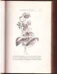 LA INTELIGENCIA DE LAS FLORES | 9999900225402 | Maeterlink, Mauricio | Llibres de Companyia - Libros de segunda mano Barcelona