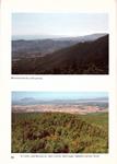 EXCURSIONISME: ORIENTACIÓ. MARXA PEL PARC MUNICIPAL DE COLLSEROLA. (TIBIDABO) | 9999900158038 | Camp I Permanyer, Joan. | Llibres de Companyia - Libros de segunda mano Barcelona