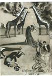 SALVADOR DALÍ. 1904 - 1989. FUM…DAMENTALMENT GENIAL | 9999900219951 | DALÍ, SALVADOR | Libros antiguos y de segunda mano con historia