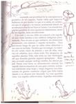 EL CLAN NAPOK | 9999900026139 | Viaud, Elien, Sylvie | Llibres de Companyia - Libros de segunda mano Barcelona