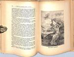 Historia de la Mitología Griega y Romana | 9999900240481 | González, V | Libros antiguos y de segunda mano con historia