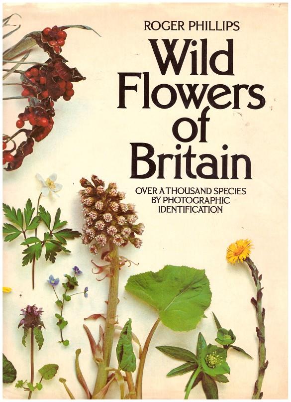 WILD FLOWERS OF BRITAIN | 9999900150162 | Phillips, Roger | Llibres de Companyia - Libros de segunda mano Barcelona