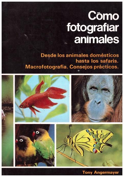 CÓMO FOTOGRAFIAR ANIMALES | 9999900133073 | Angermayer, Tony | Llibres de Companyia - Libros de segunda mano Barcelona