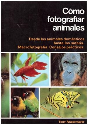 CÓMO FOTOGRAFIAR ANIMALES | 9999900133073 | Angermayer, Tony | Libros antiguos y de segunda mano con historia