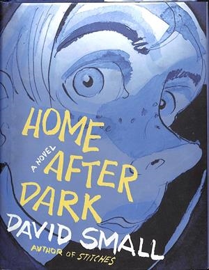 HOME AFTER DARK A NOVEL | 9999900236828 | Small, David | Libros antiguos y de segunda mano con historia